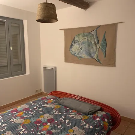 Duplex T3 Climatisé Centre Terrasse Parking Payant